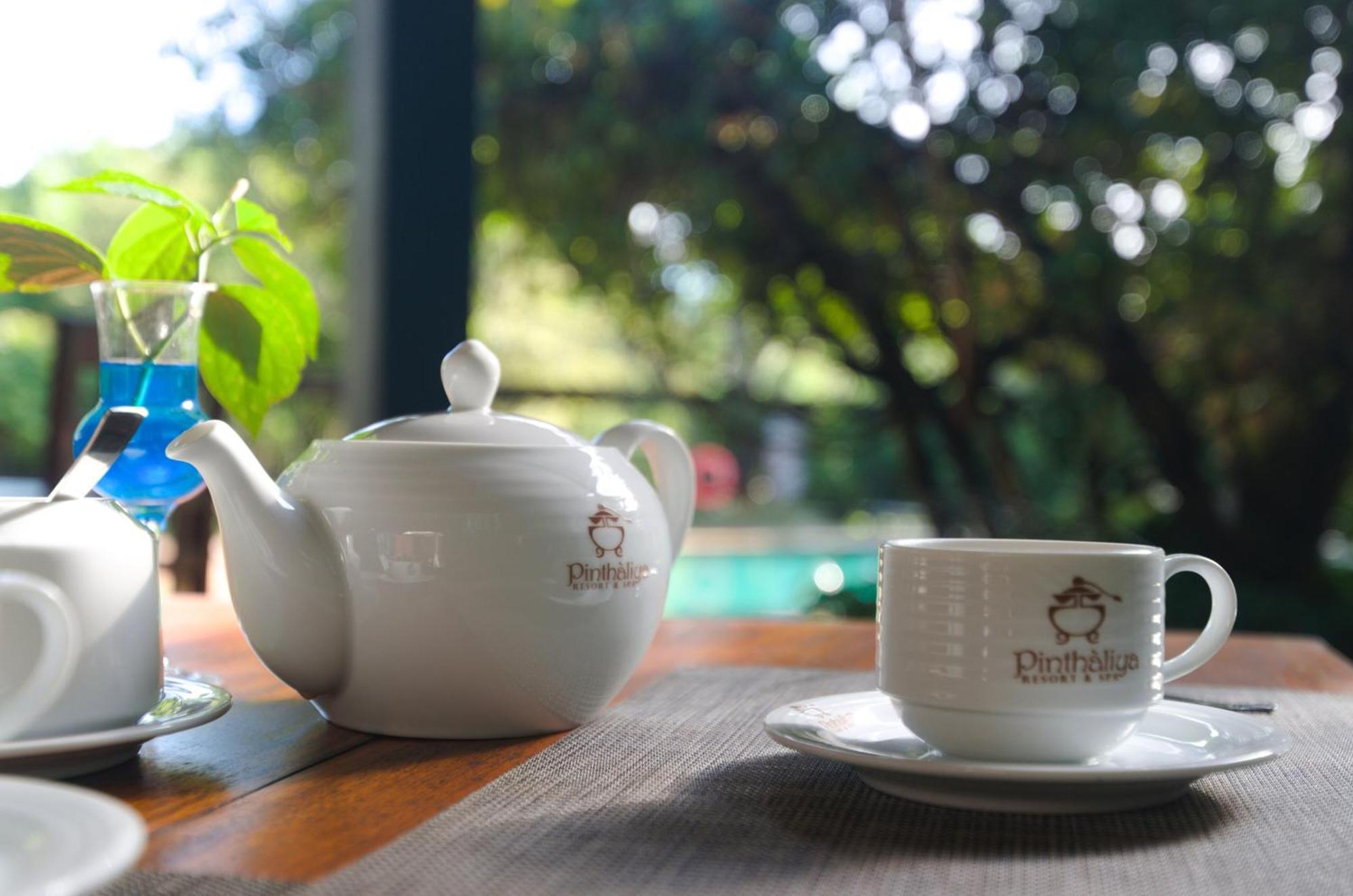 Pinthaliya Resort Sigiriya Ngoại thất bức ảnh