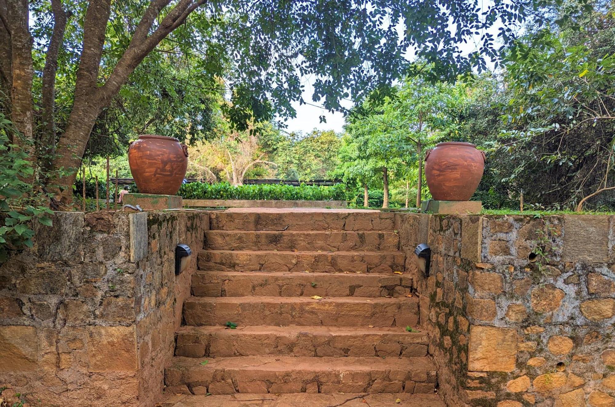Pinthaliya Resort Sigiriya Ngoại thất bức ảnh