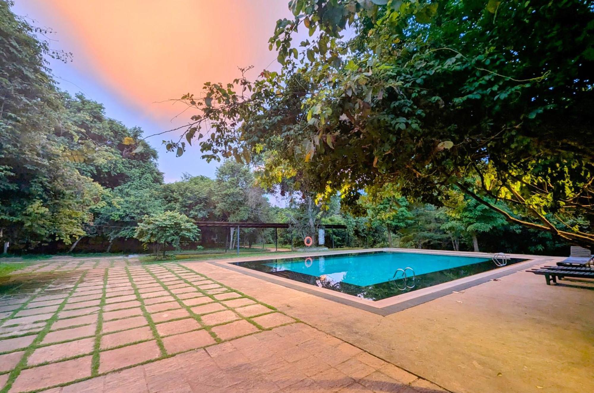 Pinthaliya Resort Sigiriya Ngoại thất bức ảnh