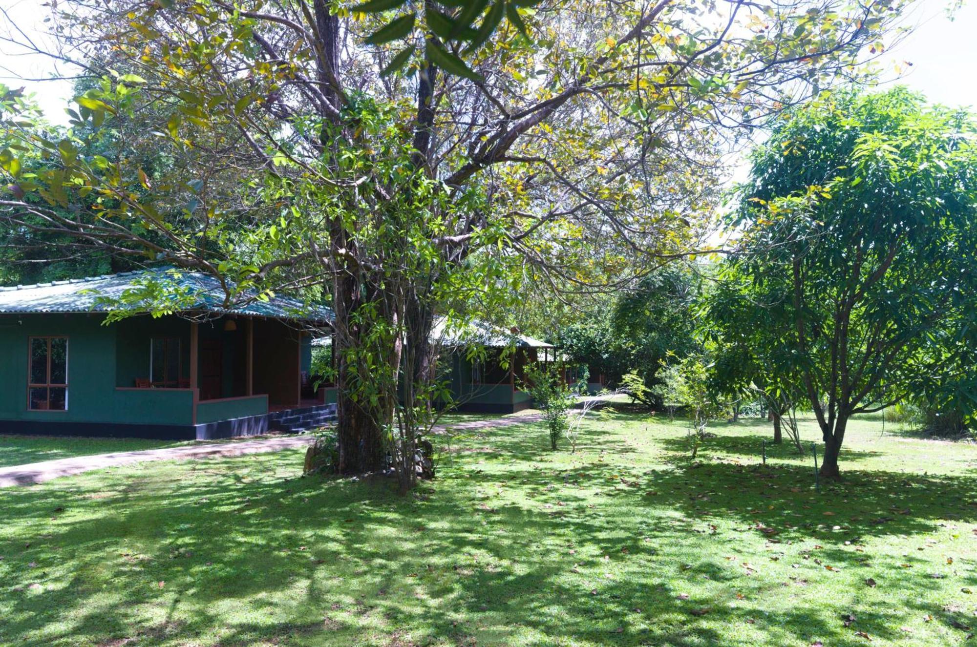 Pinthaliya Resort Sigiriya Ngoại thất bức ảnh