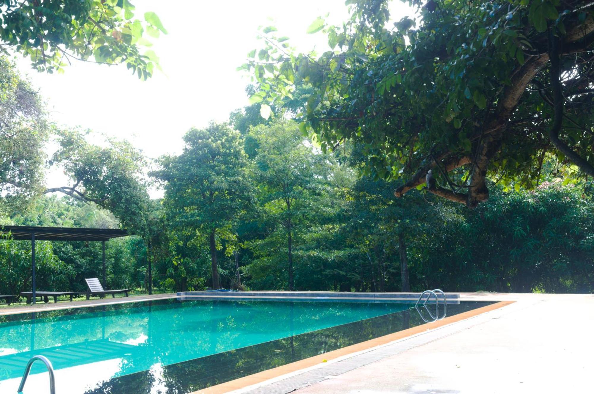 Pinthaliya Resort Sigiriya Ngoại thất bức ảnh