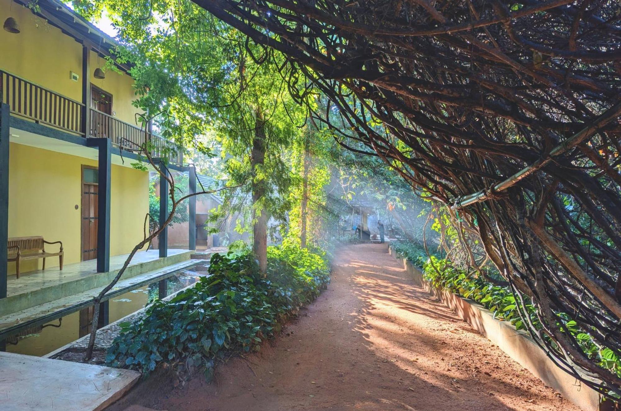 Pinthaliya Resort Sigiriya Ngoại thất bức ảnh